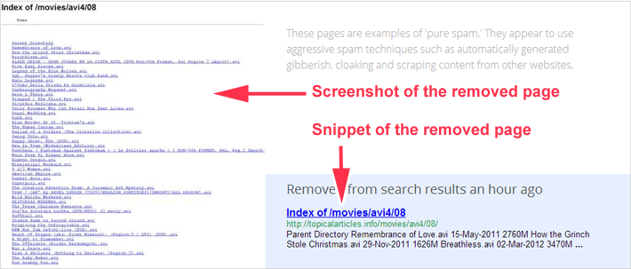 web-spam-example-1.gif