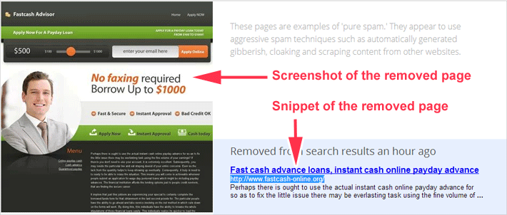 web-spam-example-2.gif